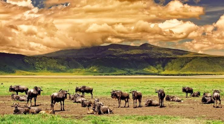 Unforgettable tanzania Travel Package